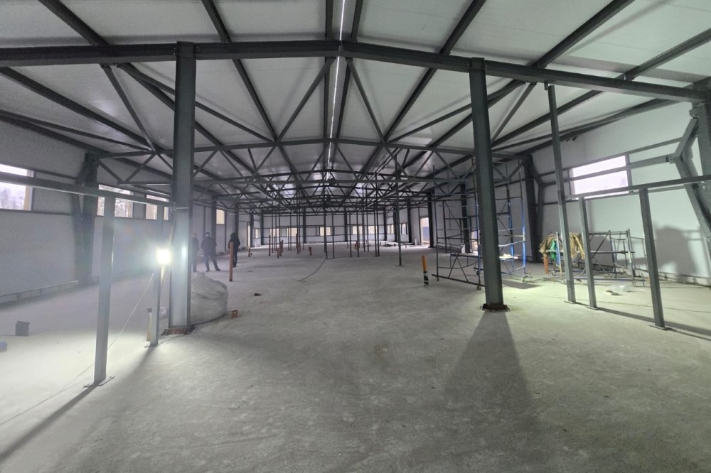 6 6